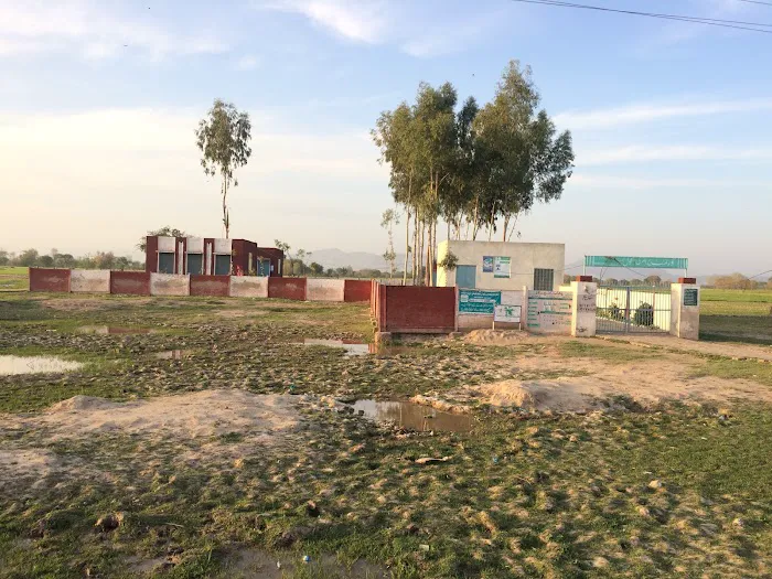 Government Primary School Kot Admana گورنمنٹ پرائمری سکول کوٹ آدمانہ Picture 5