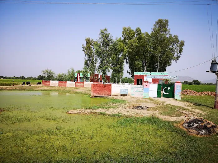 Government Primary School Kot Admana گورنمنٹ پرائمری سکول کوٹ آدمانہ Picture 2