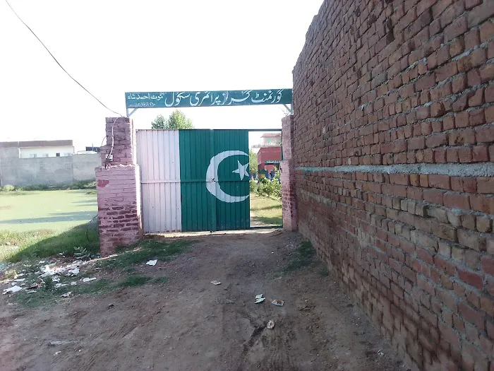 Govt girl primary school Picture 1