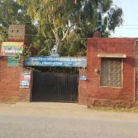 Govt. Primary School Jalalpur Sharif ico
