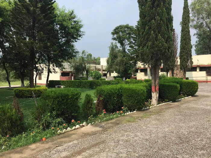 Govt College Kahuta Picture 7