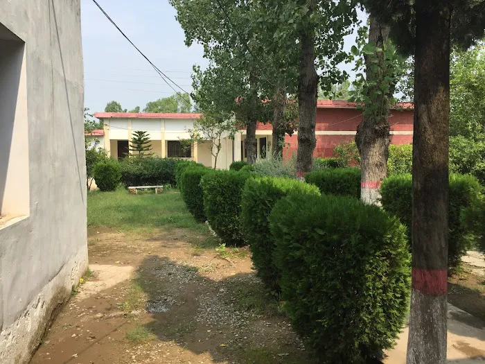 Govt College Kahuta Picture 5