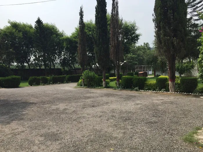 Govt College Kahuta Picture 6