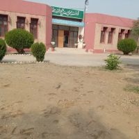 Government Girls Degree College ico