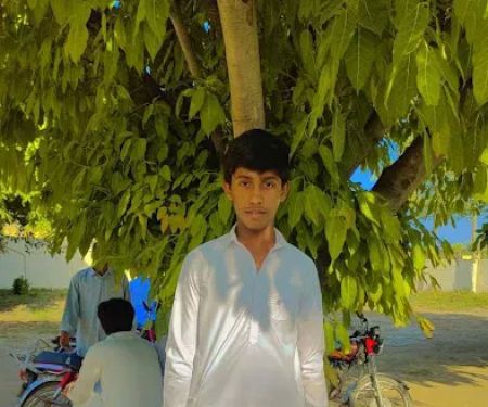 Govt Primary School Qilla Gojran