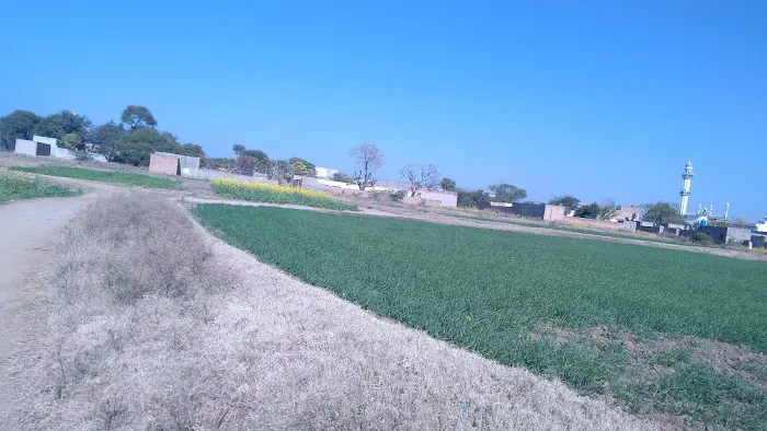 Girls Cadet College Chakwal Picture 9
