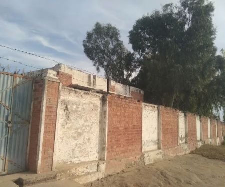Govt. Boys Primary School Dhoke Saidhan