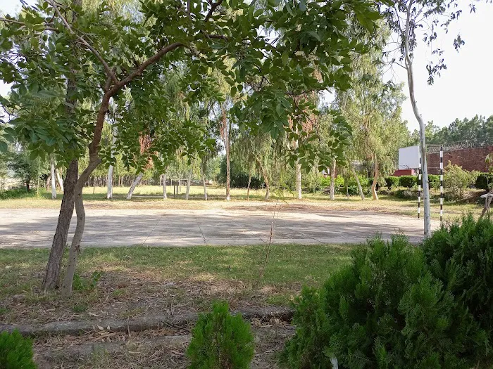 Government Degree College Ghazi (Haripur) Picture 4