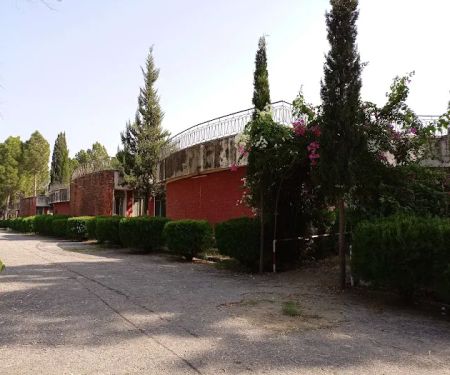 Government Degree College Ghazi (Haripur)