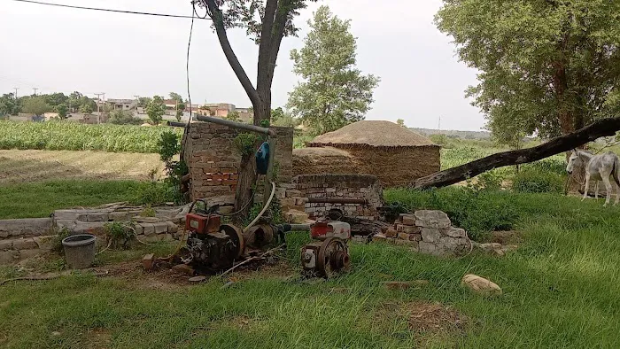 T C F Primary School Dhari Anwal Picture 2