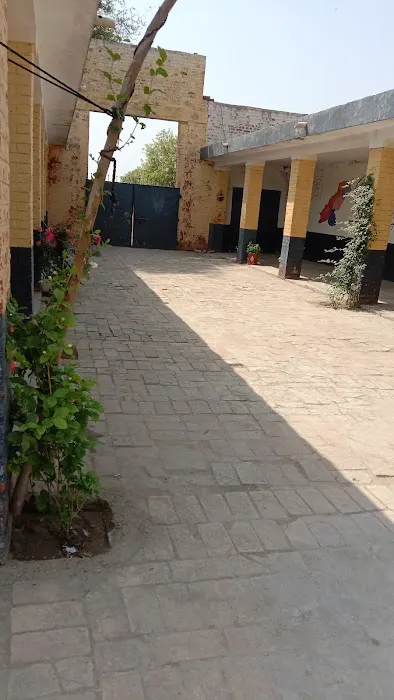 T C F Primary School Dhari Anwal Picture 9
