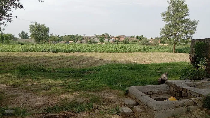 T C F Primary School Dhari Anwal Picture 1