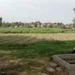 T C F Primary School Dhari Anwal