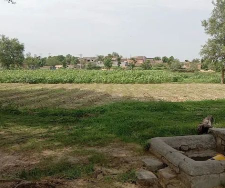 T C F Primary School Dhari Anwal