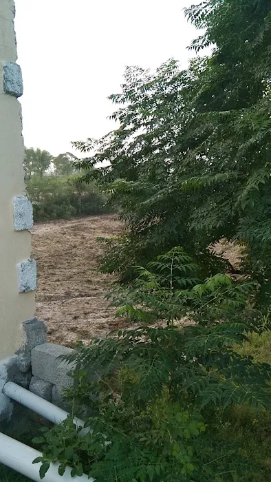 T C F Primary School Dhari Anwal Picture 10