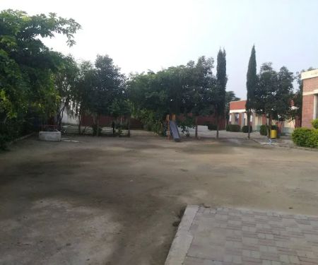 Government medal School Pipli