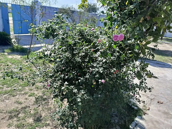 Primary School Ghunuwala Picture 5