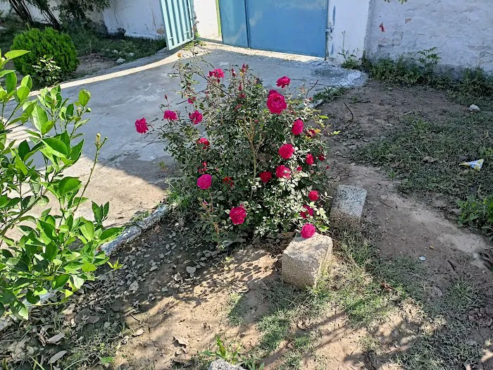 Primary School Ghunuwala Picture 2