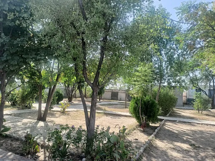 Primary School Ghunuwala Picture 6