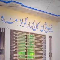 New Vision College for Girls Mandra ico