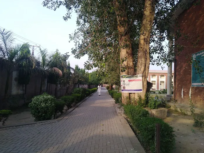 Government Nawaz Sharif Associate College for Women Picture 6