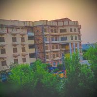 VIP Girls College ico