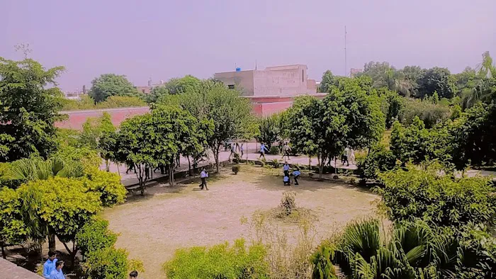 Govt Boys Higher Secondary School, Sohawa Bolani Picture 5