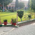 Govt M.B High School, Mandi Bahauddin