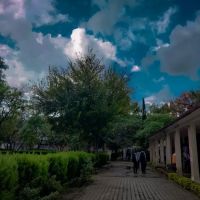 GOVT.Degree College ico