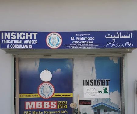 INSIGHT educational adviser and consultants