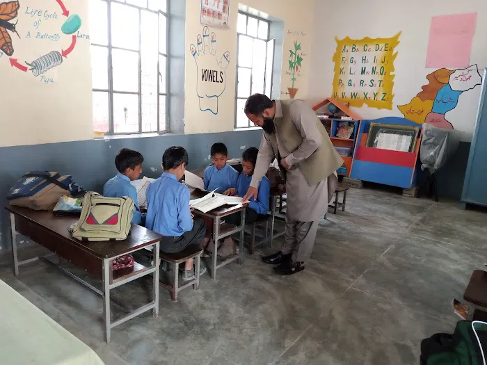 Govt boys primary school Hussain Abad Picture 1