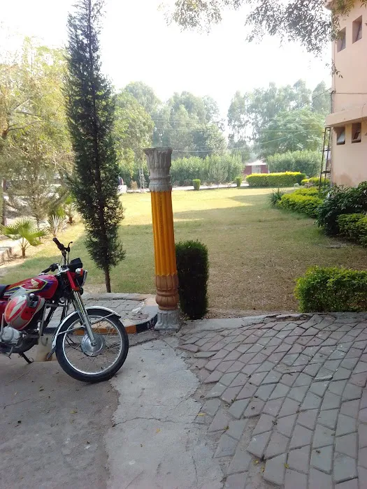 Govt Elementary College Picture 9