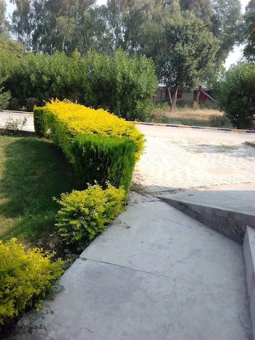 Govt Elementary College Picture 1