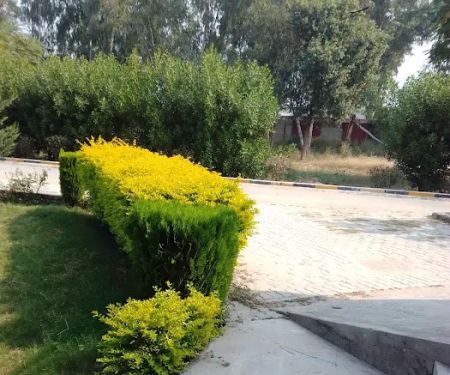 Govt Elementary College