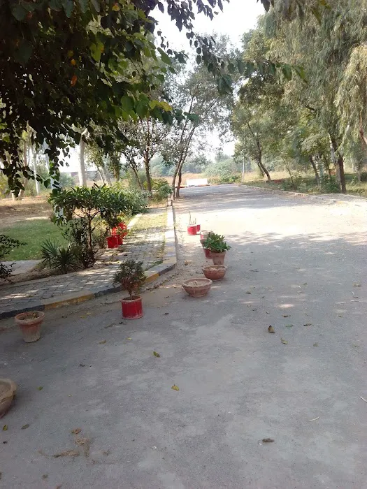 Govt Elementary College Picture 4