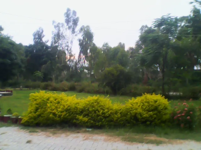 Govt Elementary College Picture 3