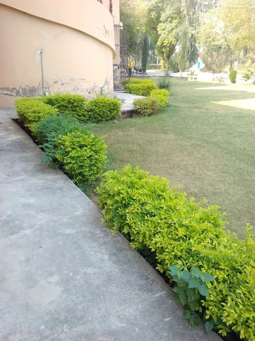 Govt Elementary College Picture 10
