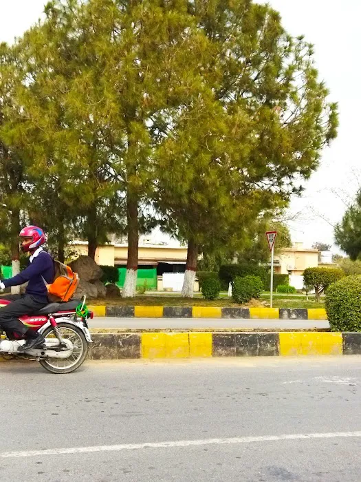 Wah cantt Picture 5