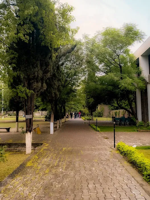 Wah cantt Picture 7