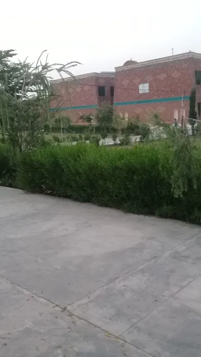 Govt. Graduate College ( Pinwal ) Chakwal Picture 10
