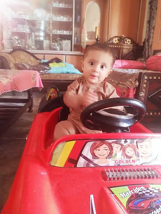 Government Primary School Dolni Picture 5