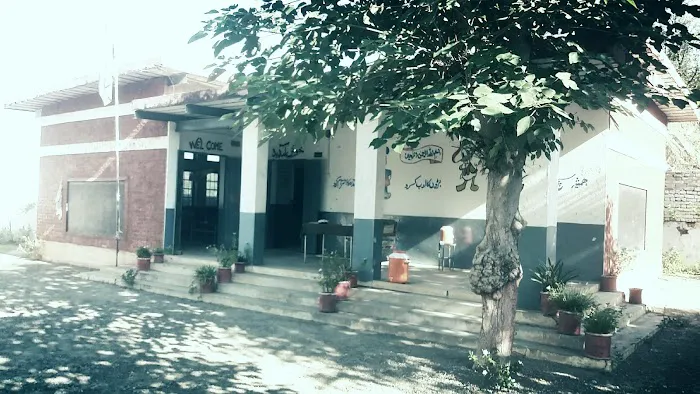 Government Primary School Dolni Picture 7