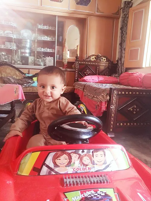 Government Primary School Dolni Picture 8