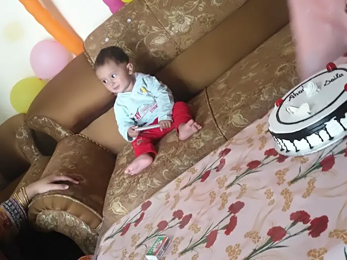 Government Primary School Dolni Picture 4