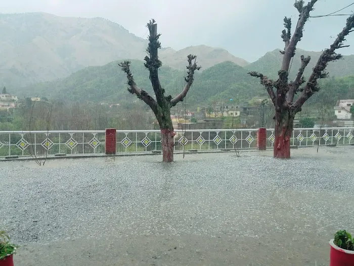 Government Primary School Dolni Picture 3