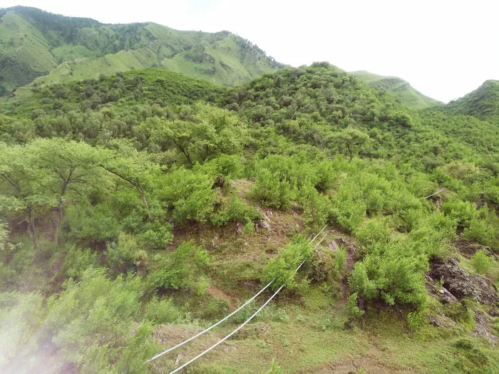 Government Primary School Dolni Picture 6