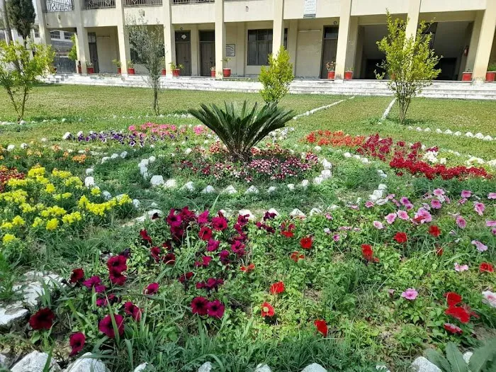Government College Of Management Sciences(Commerce College Mandian, Abbottabad) Picture 6