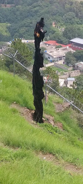 RANKOT HOUSE Picture 4