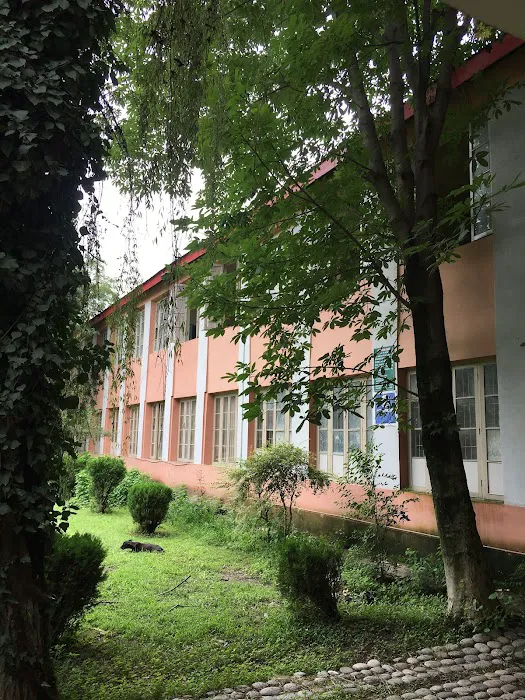 Govt Postgraduate College No 1 Picture 7
