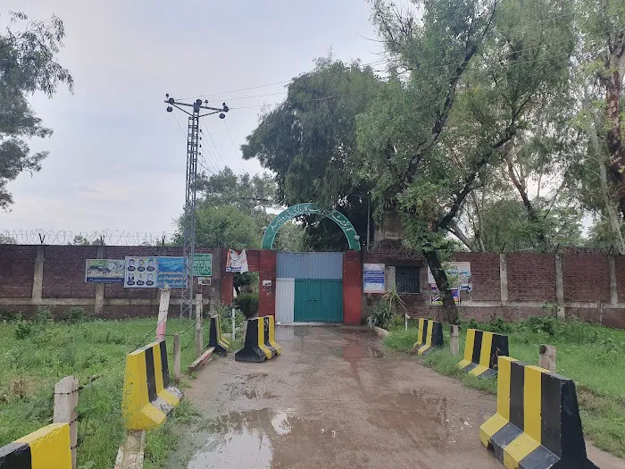 Govt. College, G.T. Road Jhelum Picture 9